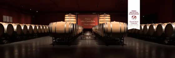 Bodegas Valdemar