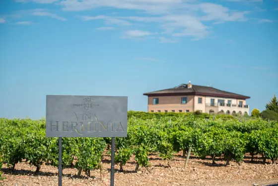 Bodegas Viña Herminia