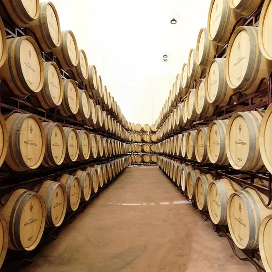 Bodegas Viña Laguardia