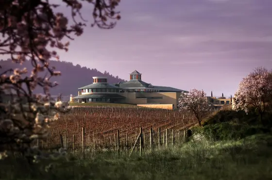 Bodegas Vivanco