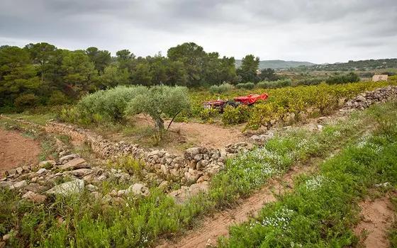 Celler 9+
