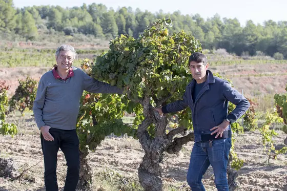Celler Cal Bessó