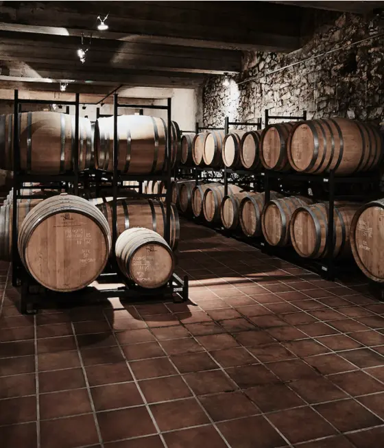 Celler de Capçanes