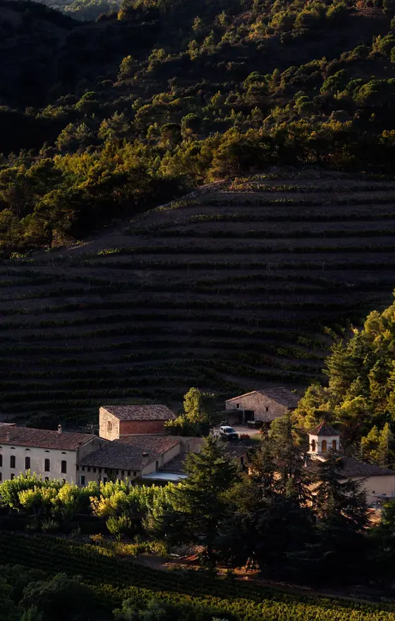 Celler de L’Era