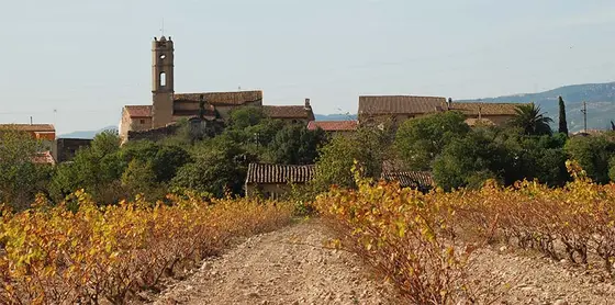 Celler Mas Bella