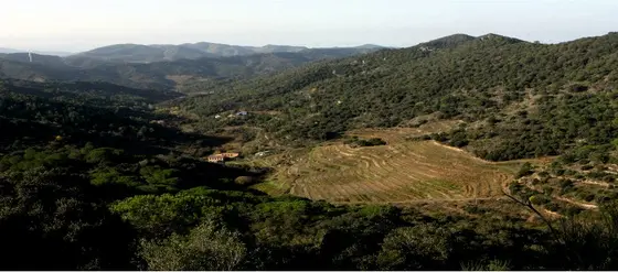 Celler Mas del Botó