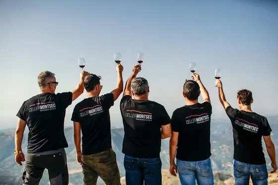 Celler Montsec