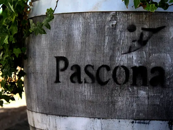 Celler Pascona