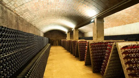 Celler Vell