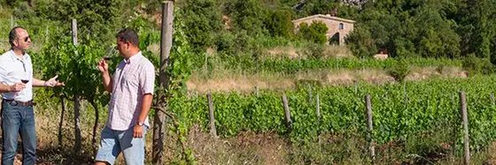 Cellers Baronia del Montsant
