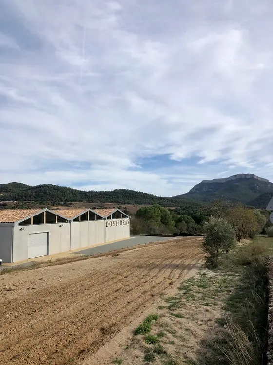 Cellers Dosterras
