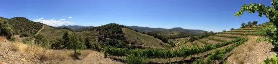 Cellers Tane