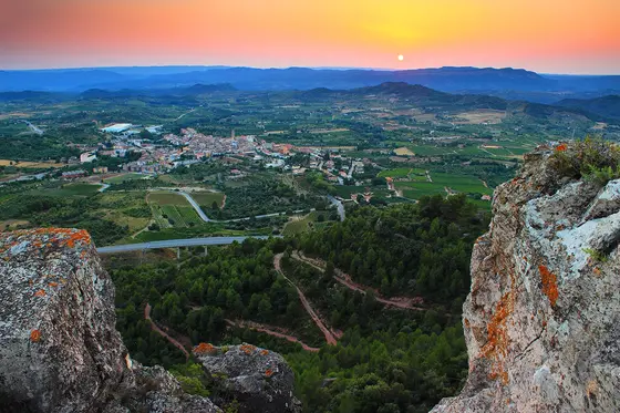 Cooperativa Falset-Marçà