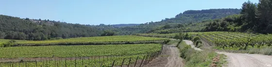 Carles de Lavern