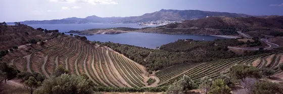 Cavas del Castillo de Perelada