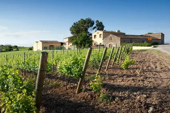 Celler Josep M. Ferret Guasch