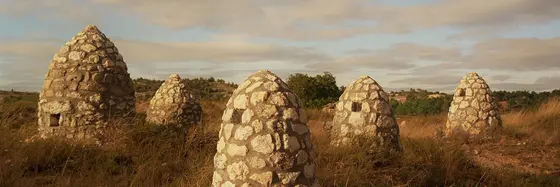 Dominio del Pidio