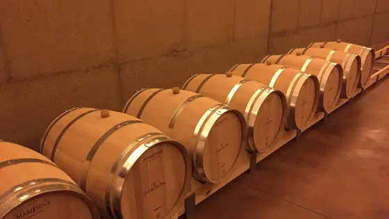 El Celler D’En Marc