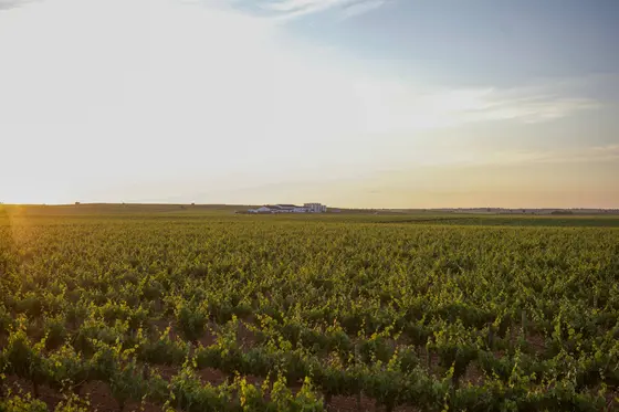 Finca la Venta de Don Quijote