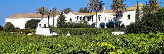 Finca Viladellops