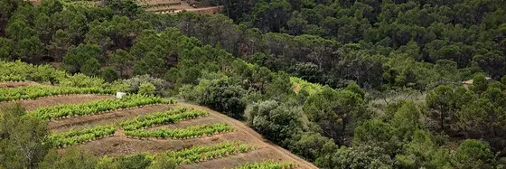 Gran Clos