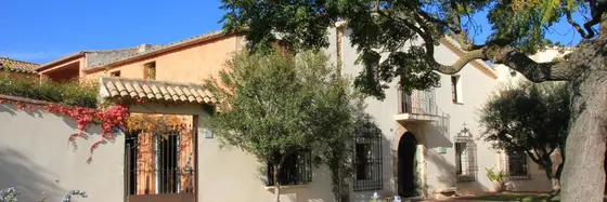 Giró Ribot