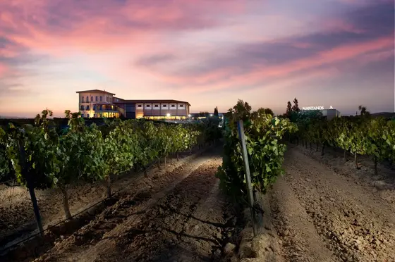 Manzanos Wines