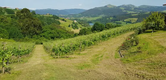 Pago Casa del Blanco Cantabria