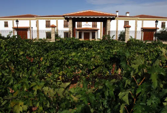 Pago de la Jaraba
