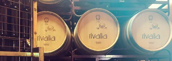 Rivalia Bodegas y Viñedos