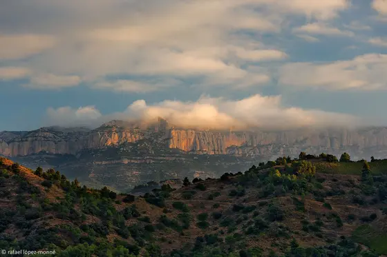 Terroir al Límit