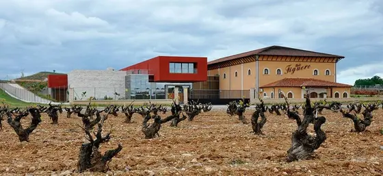 Viñedos y Bodegas García Figuero
