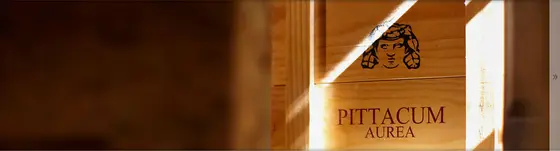 Viñedos y Bodegas Pittacum