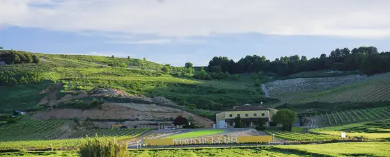 Vinos de la Luz