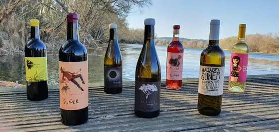 Vins Suñer