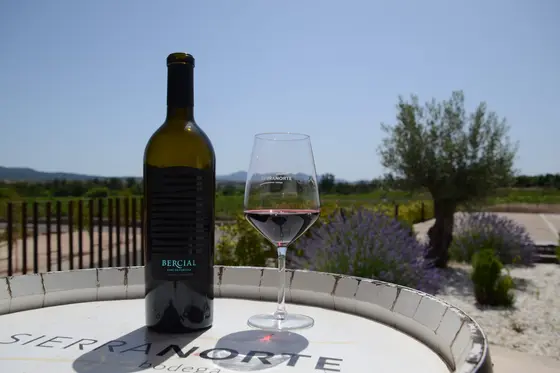 BODEGA SIERRA NORTE Enoturismo