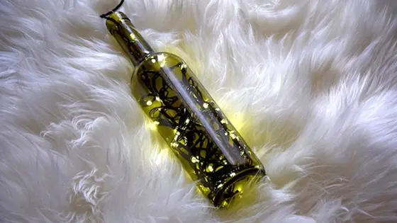 Limpieza de primavera: ¿Qué hacer con tus botellas de vino vacías?