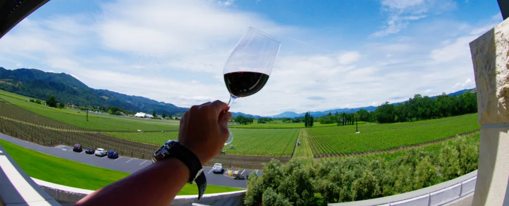 Los 10 mejores destinos para los amantes del enoturismo en España | BLOG Enoturismo Visitar Bodegas