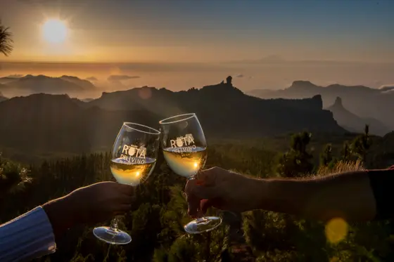 España presumen de capitalidad de la red europea de ciudades del vino - RECEVIN