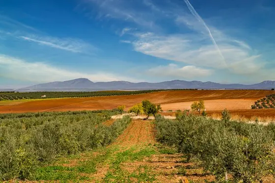 Una nueva Red de Miradores en la Ruta del Vino y el Cava de Ribera del Guadiana