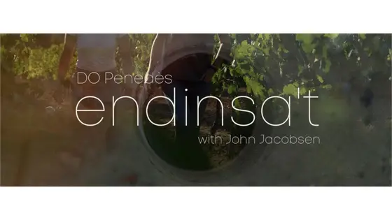La DO Penedès y el prestigioso DJ John Jacobsen unidos en el proyecto Endinsa’t