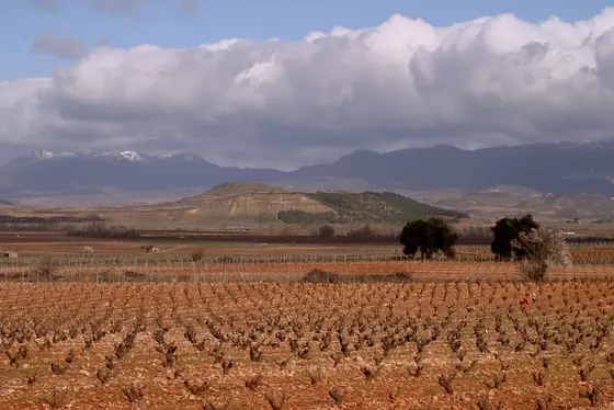 El cine español celebra su noche con vino de Rioja