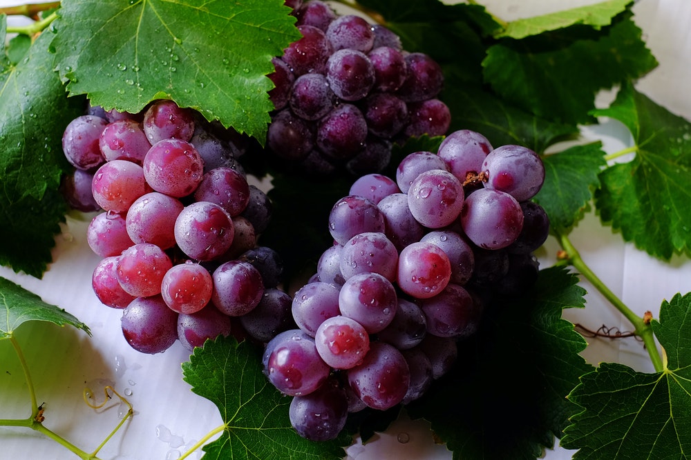 Mejora la comercialización de Vinos Alicante DOP en la campaña 20-21