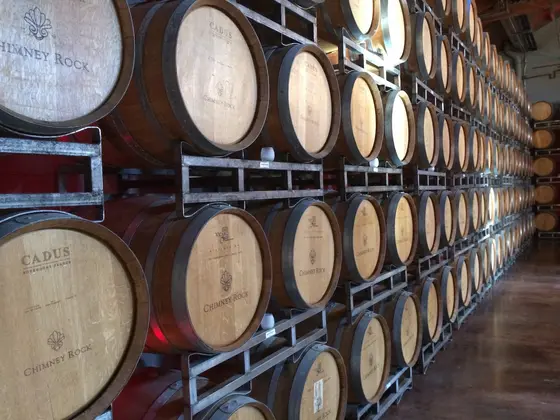 De la uva al vino: Descubre el proceso de elaboración del vino