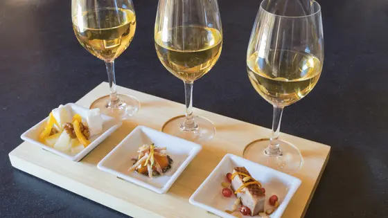 Cómo maridar vinos y comidas para realzar sabores | Guía esencial