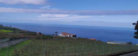 Tacoronte-Acentejo avanza la investigación en el ámbito medioambiental
