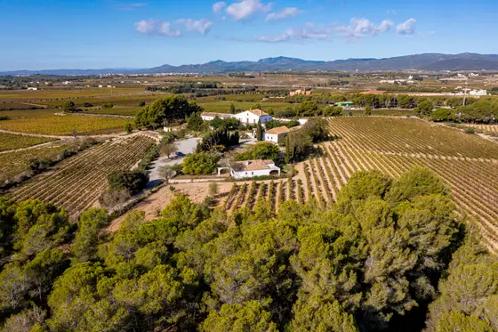 VINYES DE LILITH Enoturismo