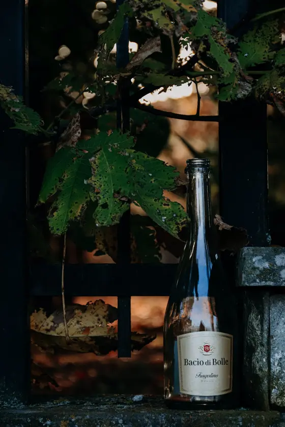 El Alma del Vino: Desentrañando el Impacto del Terroir en Cada Sorbo