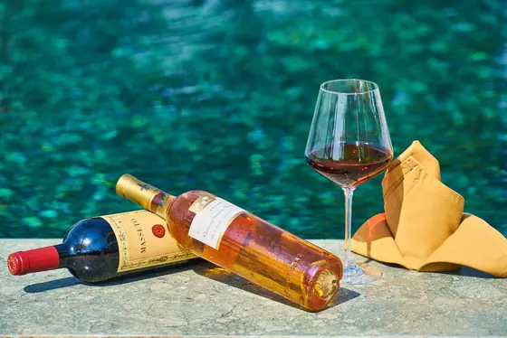 Creado en Casa: La Maestría de Organizar una Degustación de Vinos
