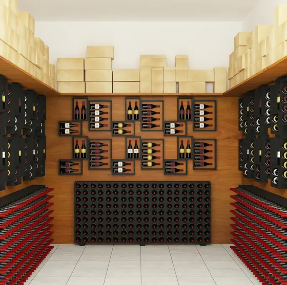 Explorando Vinotecas del Mundo: Viajes Vinícolas como Odisea Sensorial